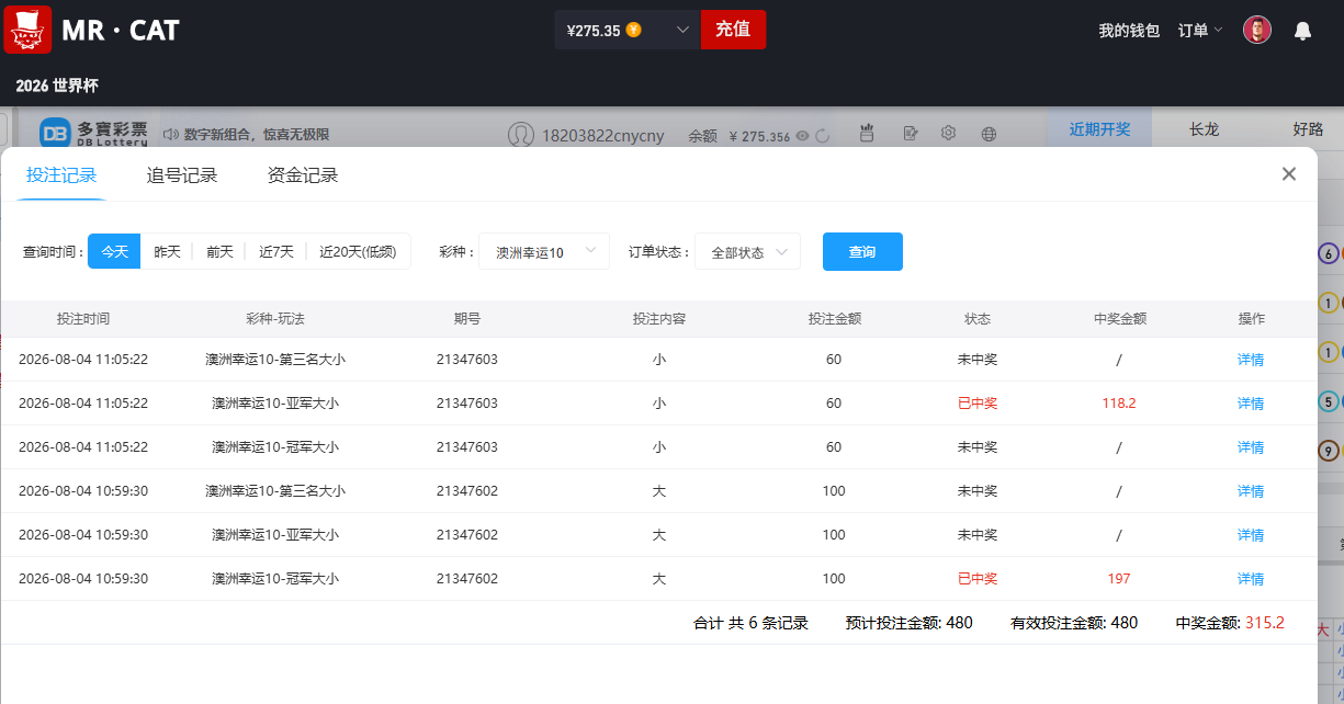 输100多猫先生.png